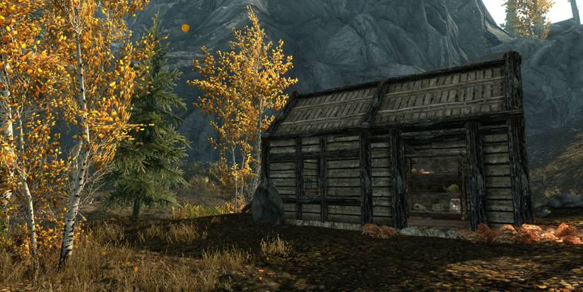Skyrim Alchemists Shack
