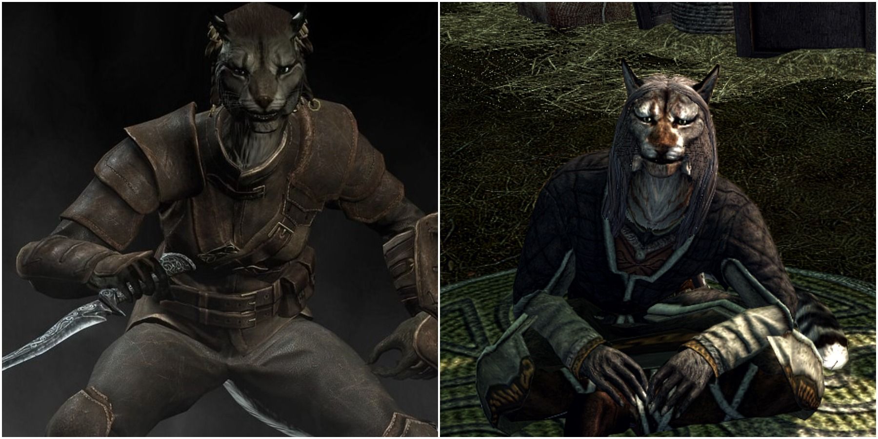 Skyrim Khajiit female Ri'saad