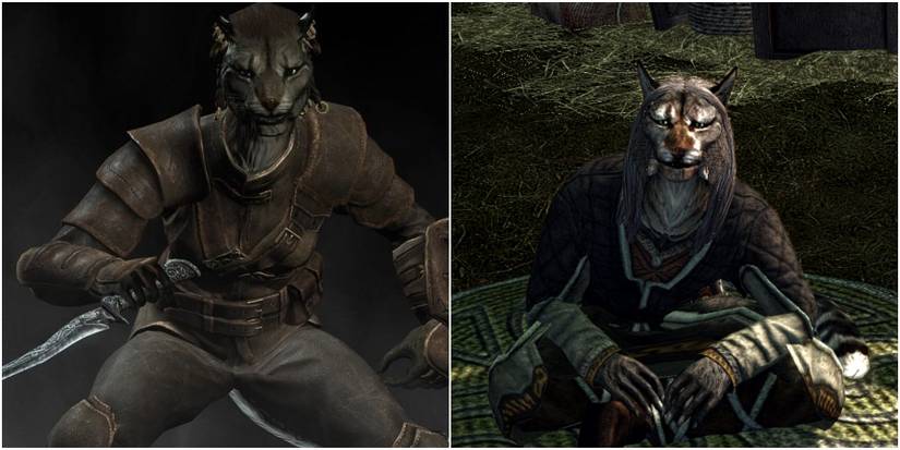Skyrim Khajiit female Ri'saad