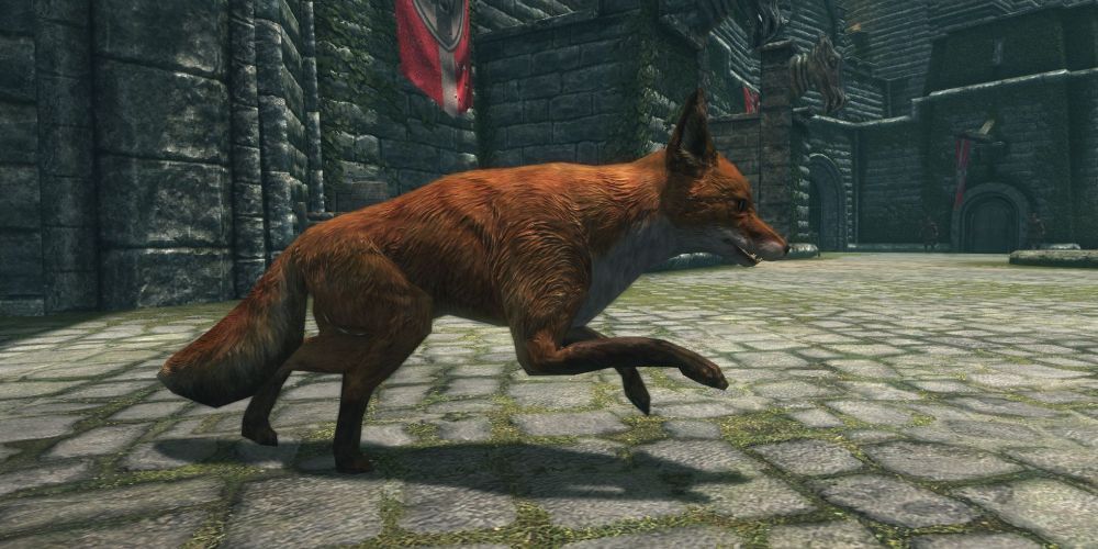 Skyrim Anniversary Edition Best Mods Included Fox Pets
