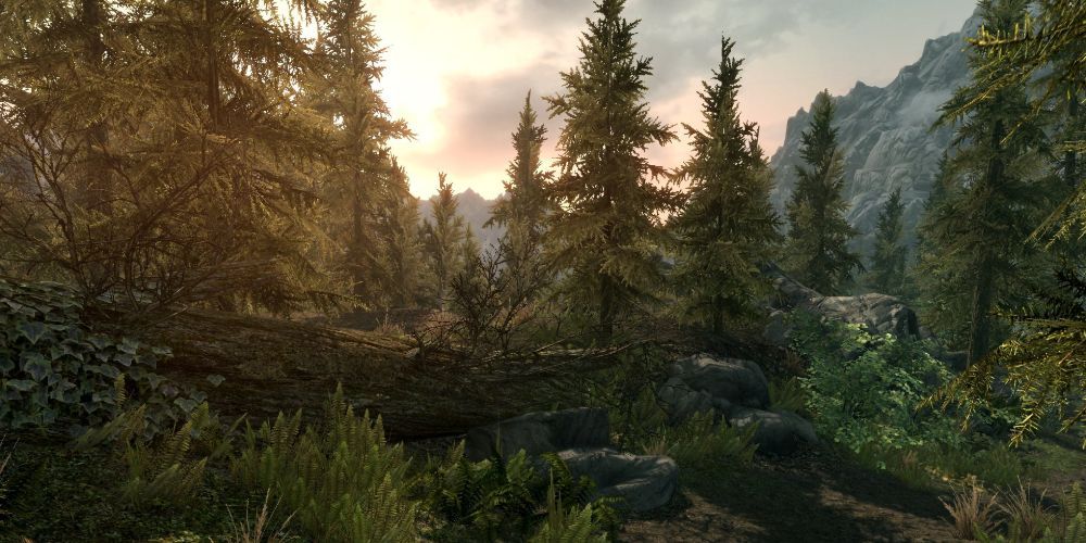 Skyrim Anniversary Edition Best Mods Included Survival mode