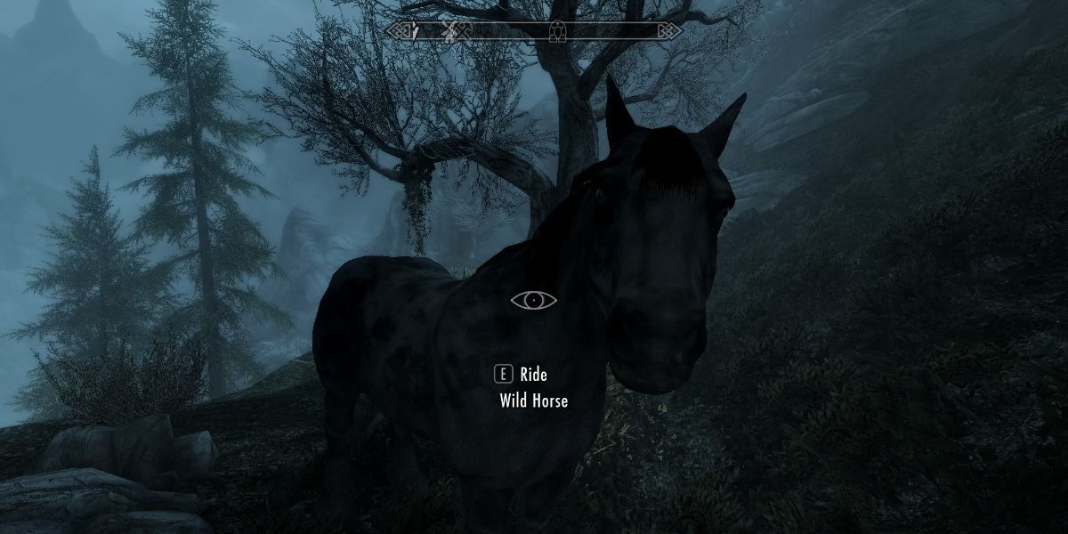 Skyrim Anniversary Edition Horse Taming Guide Types Gray