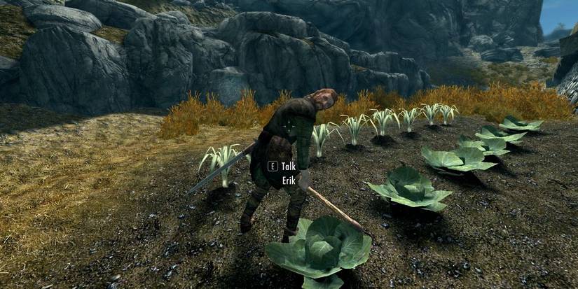 Skyrim Anniversary Edition Survival Mode Camping Food Environment Temperature