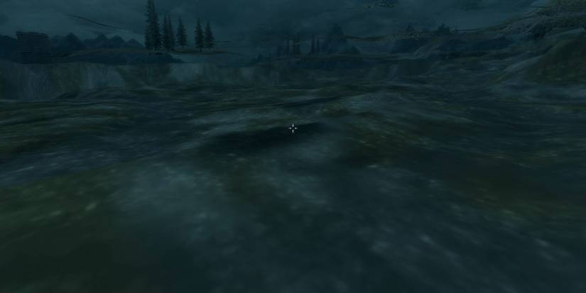 Skyrim Anniversary Glitches Bugs Textures Loading