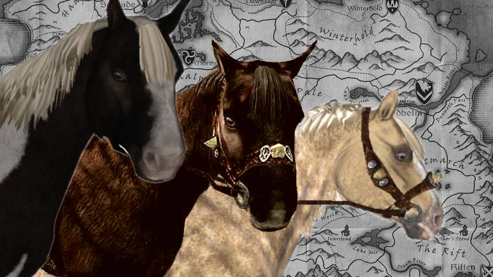 Skyrim Anniversary Horse Location Guide