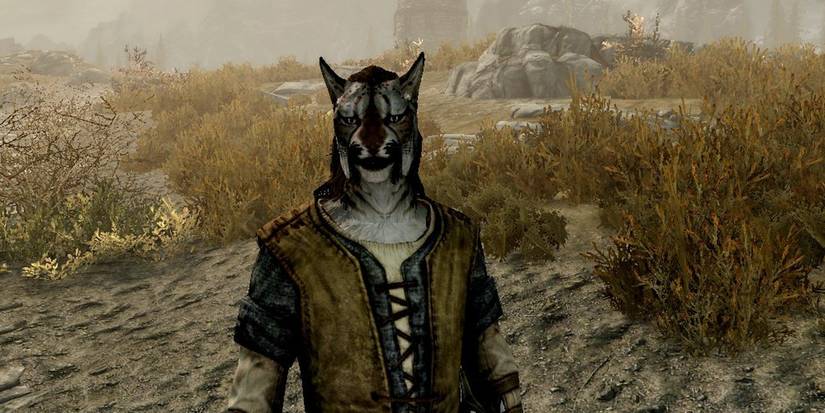 Skyrim Anniversary Rare Curios Guide Risaad