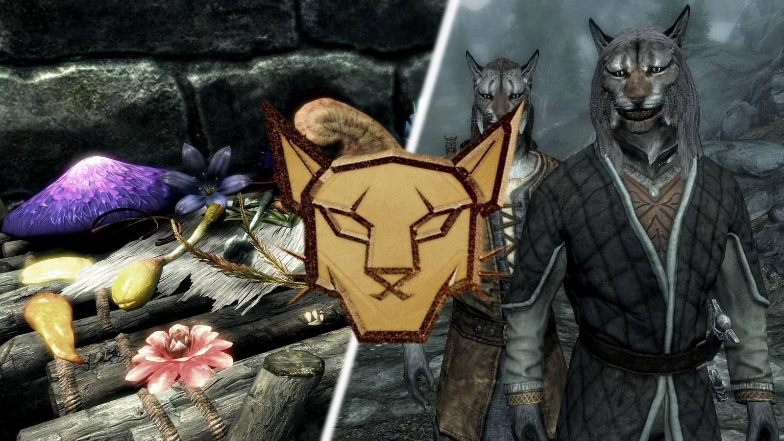 Skyrim Anniversary Rare Curios Guide