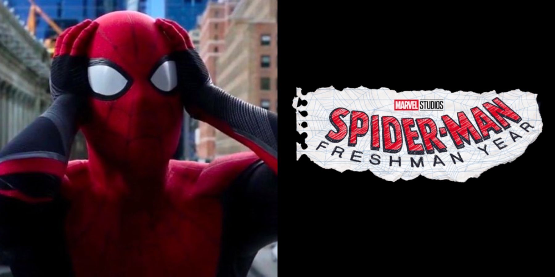 Spider-Man-Freshman-Year-Necessary_