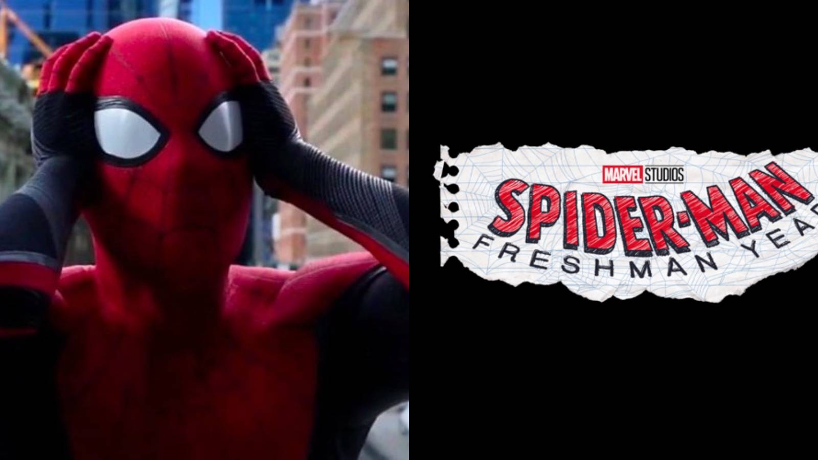 Spider-Man-Freshman-Year-Necessary_