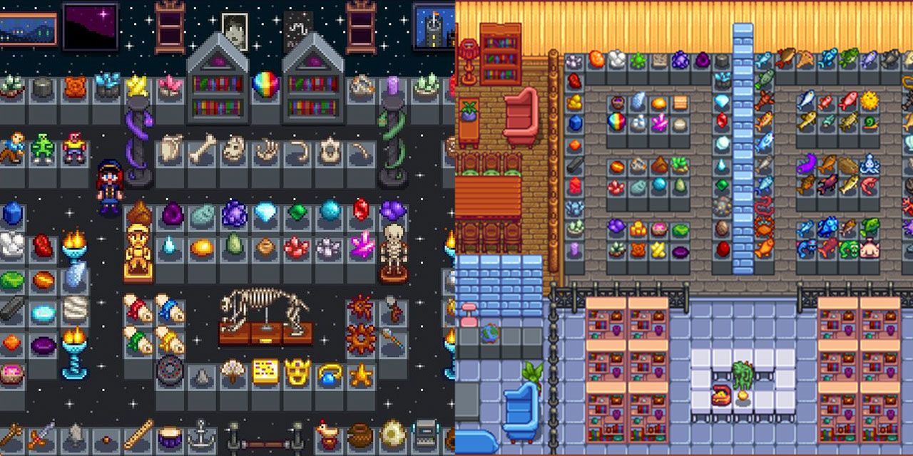 Stardew Valley Museums in Sheds Space themed museum and museum with library