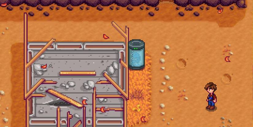 Stardew Valley Strange Capsule