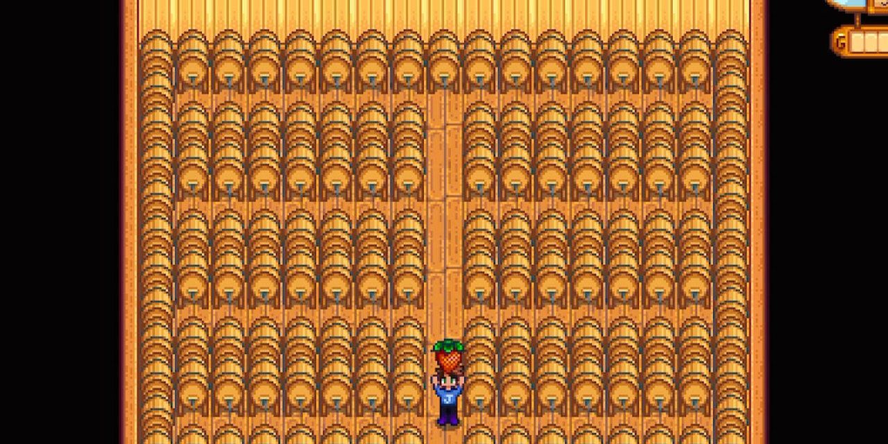 Stardew valley Lots of Kegs inside a shed