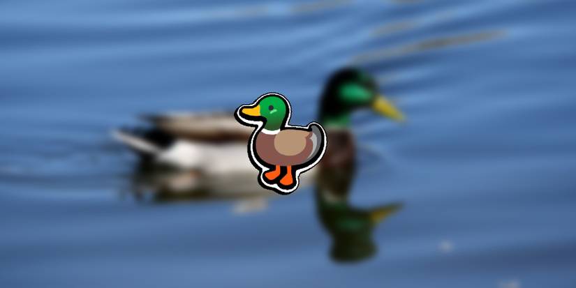 Super Auto Pets - Duck