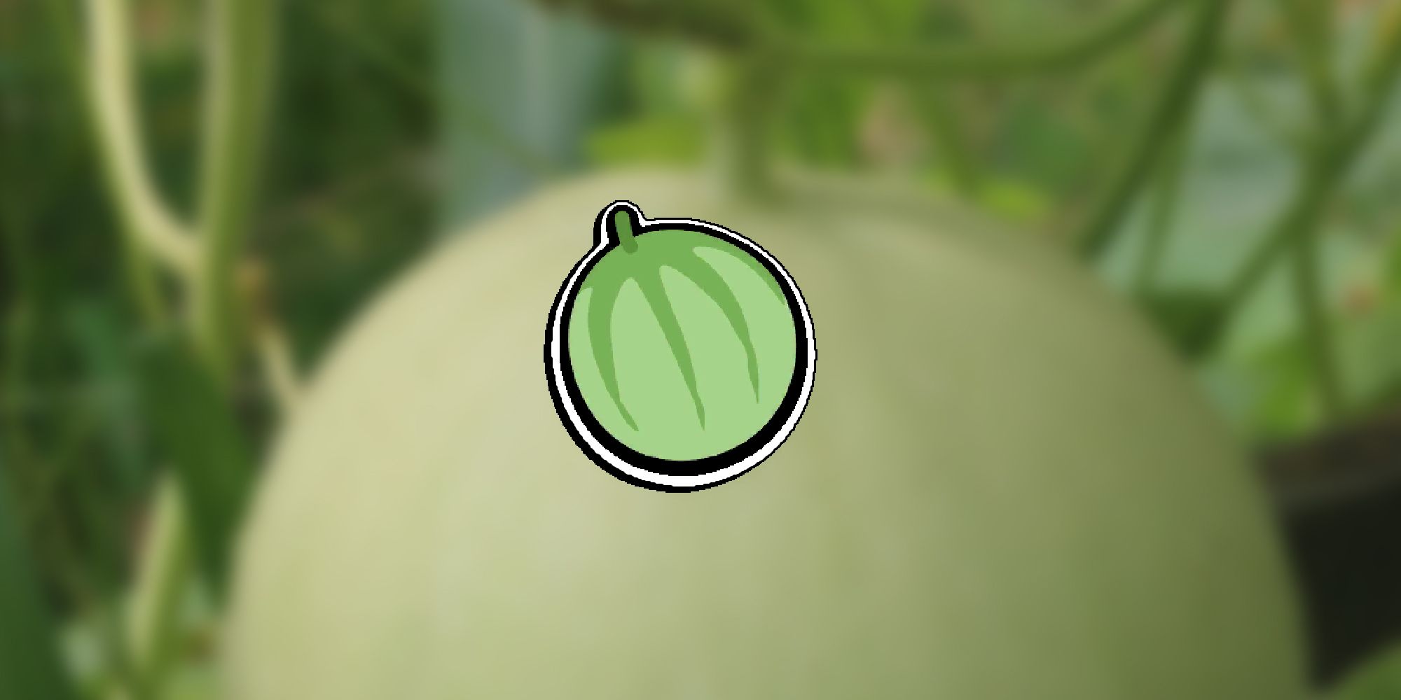 Super Auto Pets - In-Game Melon Item PNG Overlaid On Image Of Melon The Item Was Based On