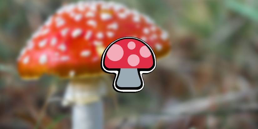 Super Auto Pets - In-Game Mushroom Item PNG Overlaid On Image Of Very Similar Actual Mushroom