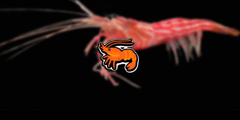 Super Auto Pets - Shrimp