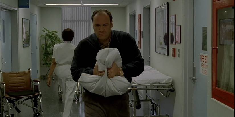 Tony Holding a Pillow From The Sopranos