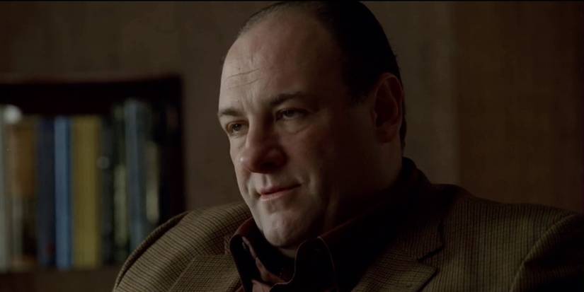 Tony in Therapy From The Sopranos