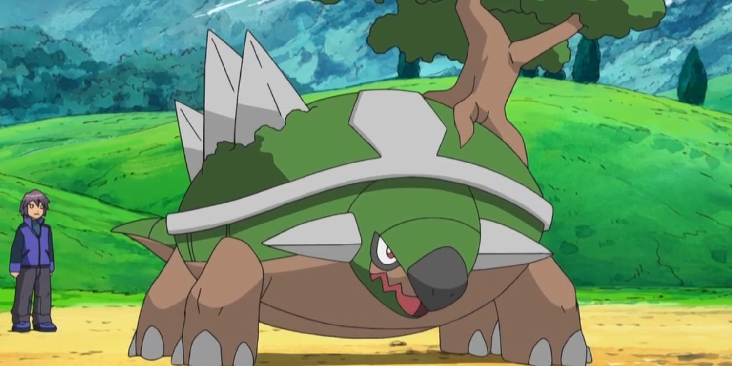 Pokemon Torterra with trainer in battle