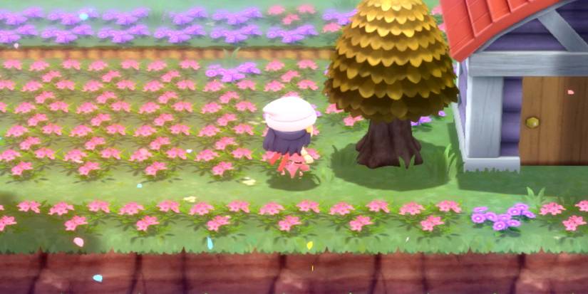 pokemon brilliant diamond shining pearl honey trees