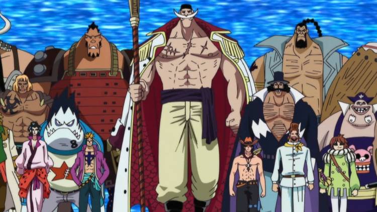 Outros Comandantes de Divisão dos Piratas do Barba Branca