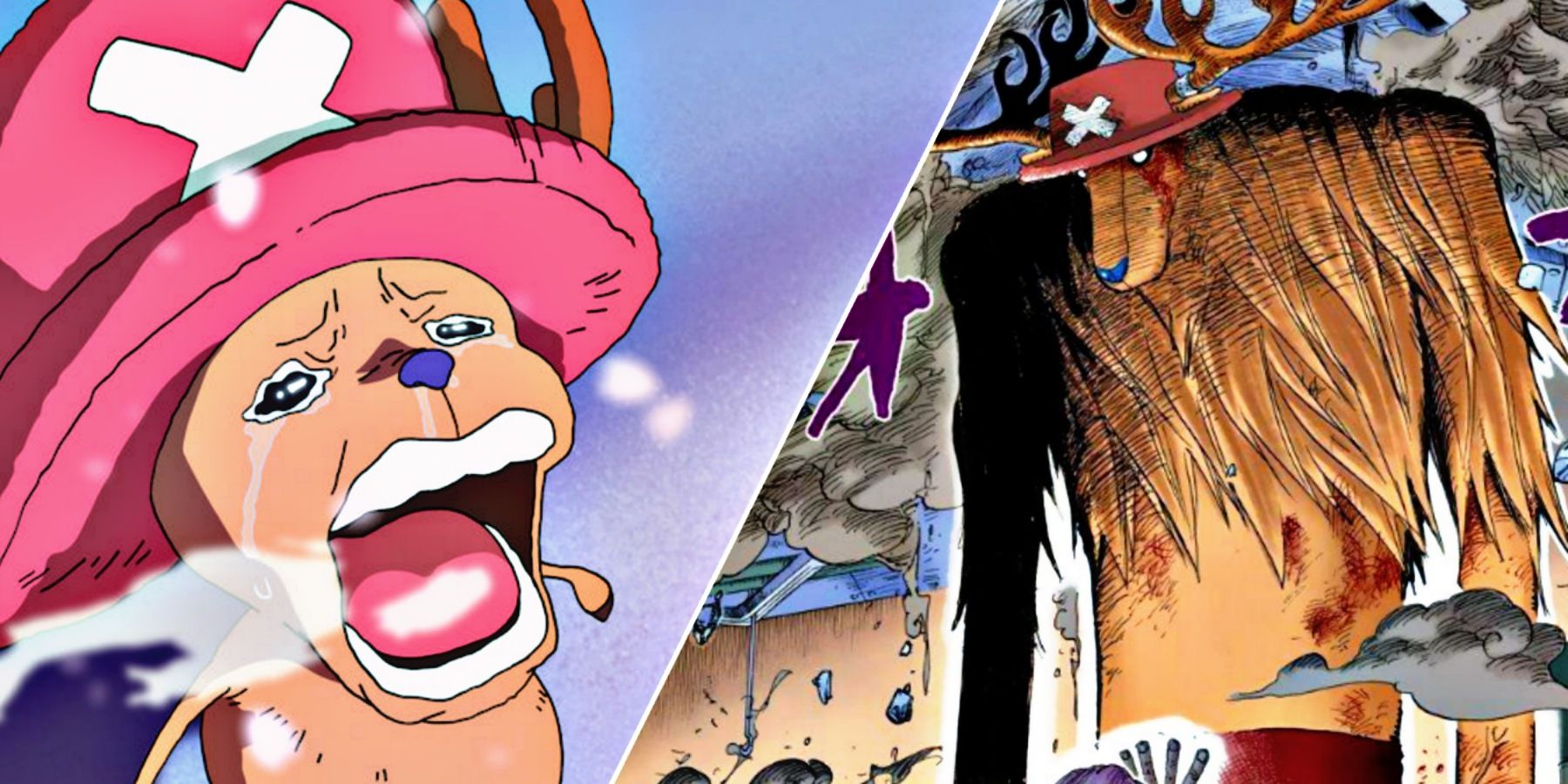 Chopper Underappreciated Straw Hat One Piece