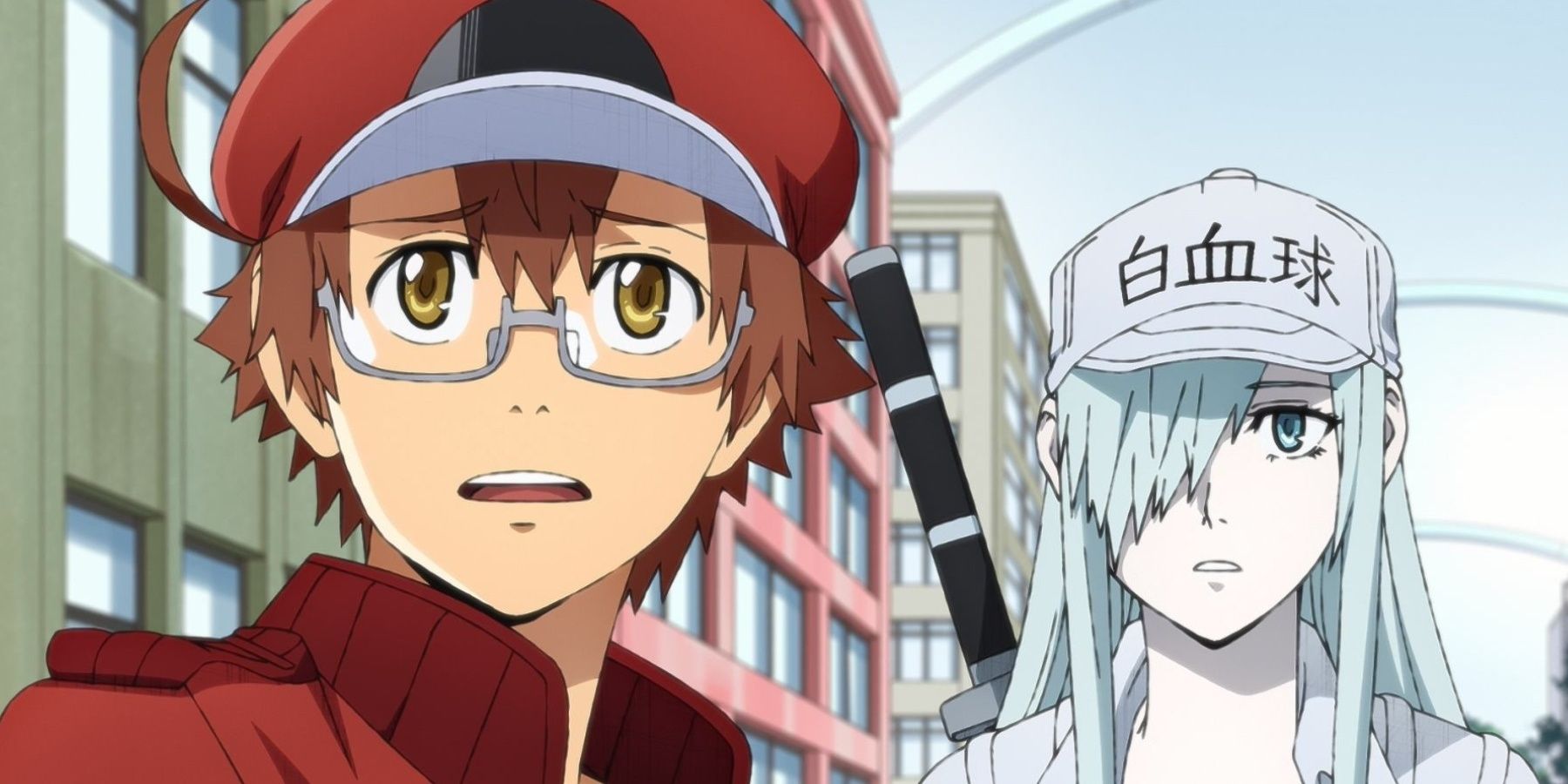 Cells at Work! Code Black anime