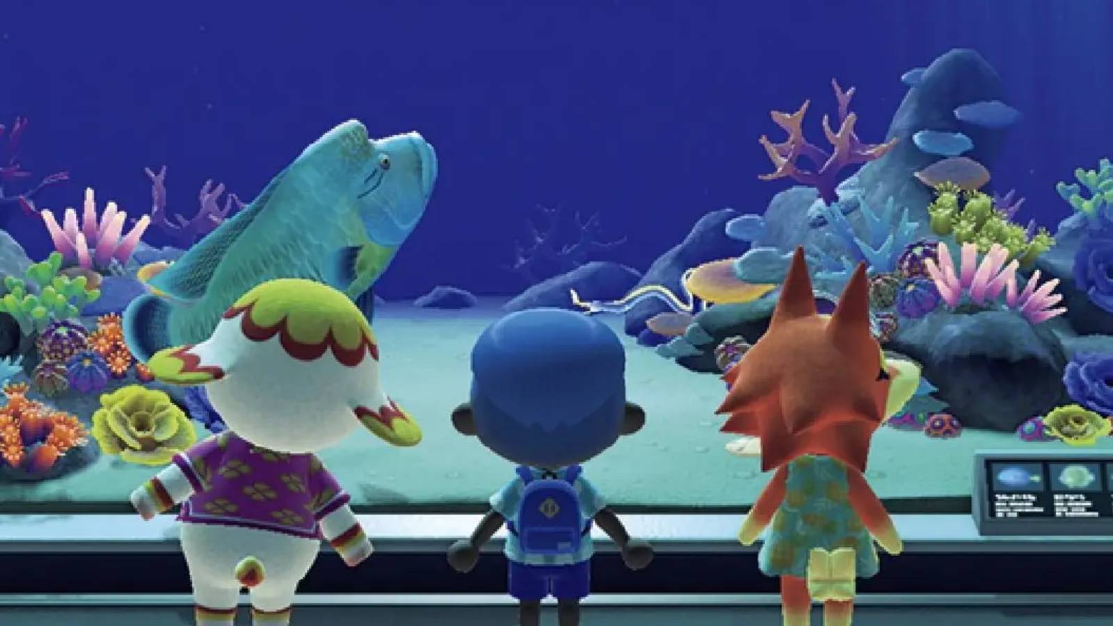 animal crossing new horizons aquarium event japan