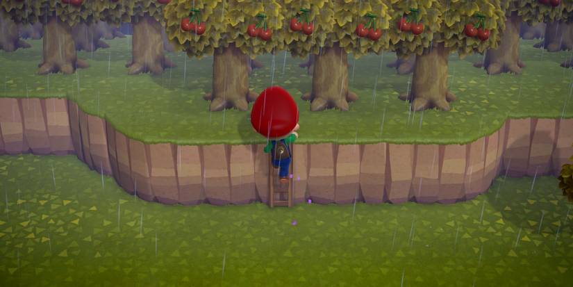animal-crossing-new-horizons-ladder-guide-climbing-ladder