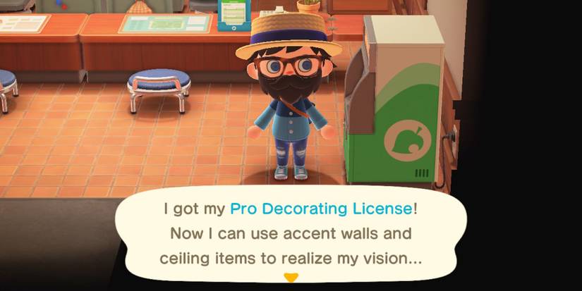 animal crossing pro decorating license