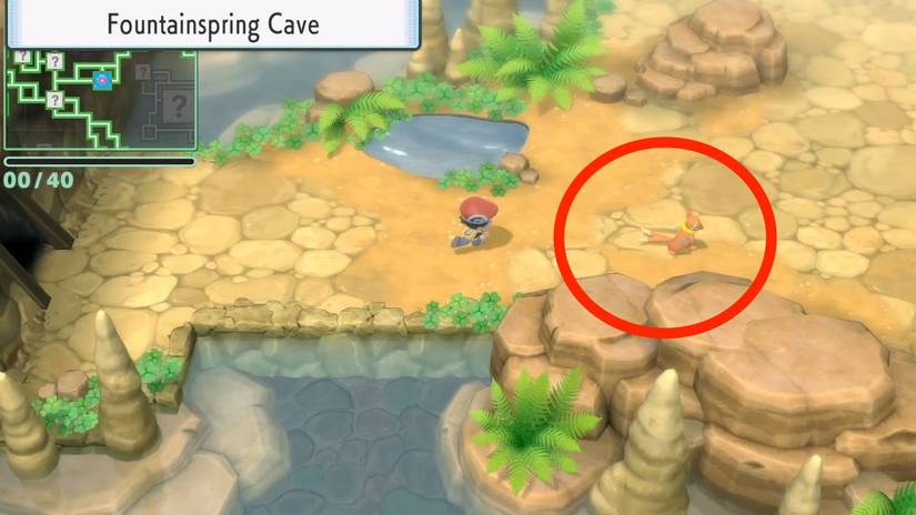 buizel grand underground pokemon brilliant diamond shining pearl