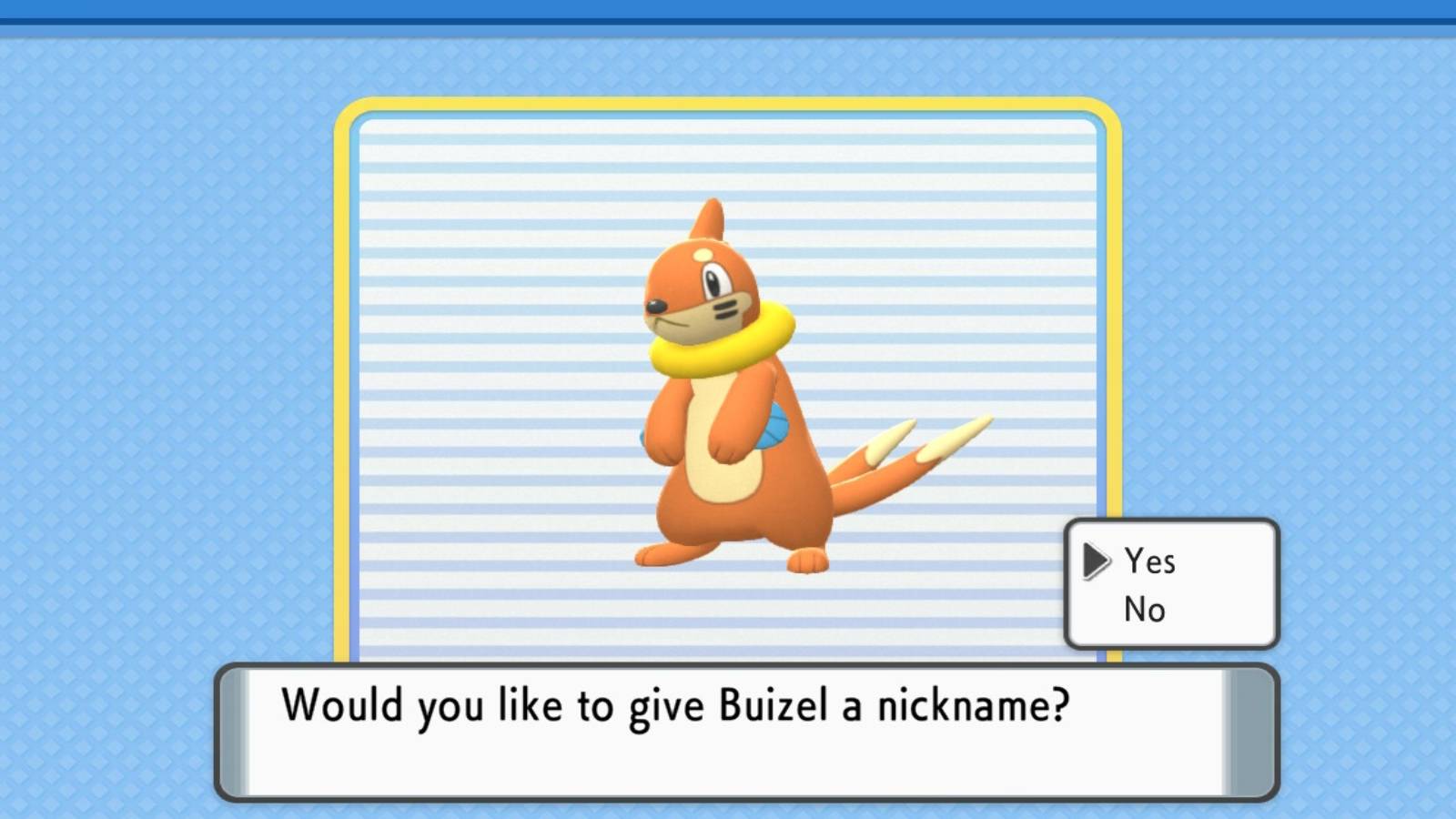 buizel pokemon