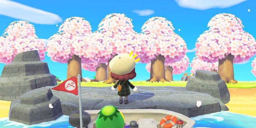 cherry blossom island Animal Crossing New Horizons