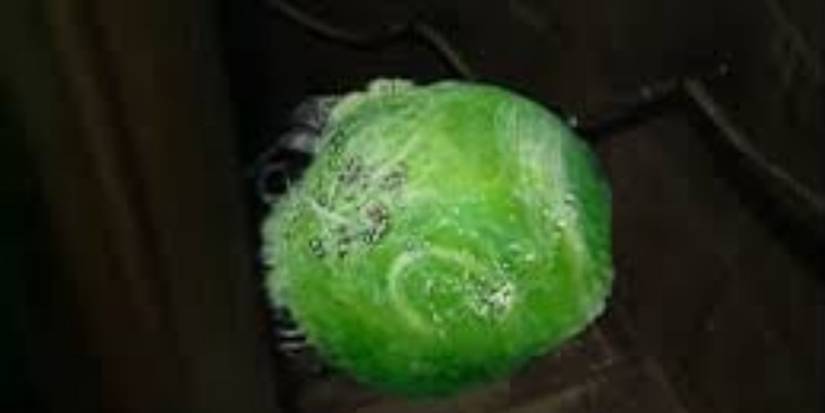 Official image of the Rutans, an alien from the TV show Doctor Who.