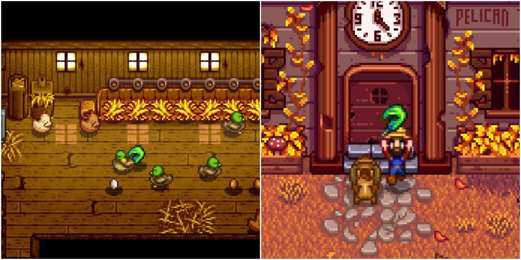 left: ducks in coop; right: player holding duck feather