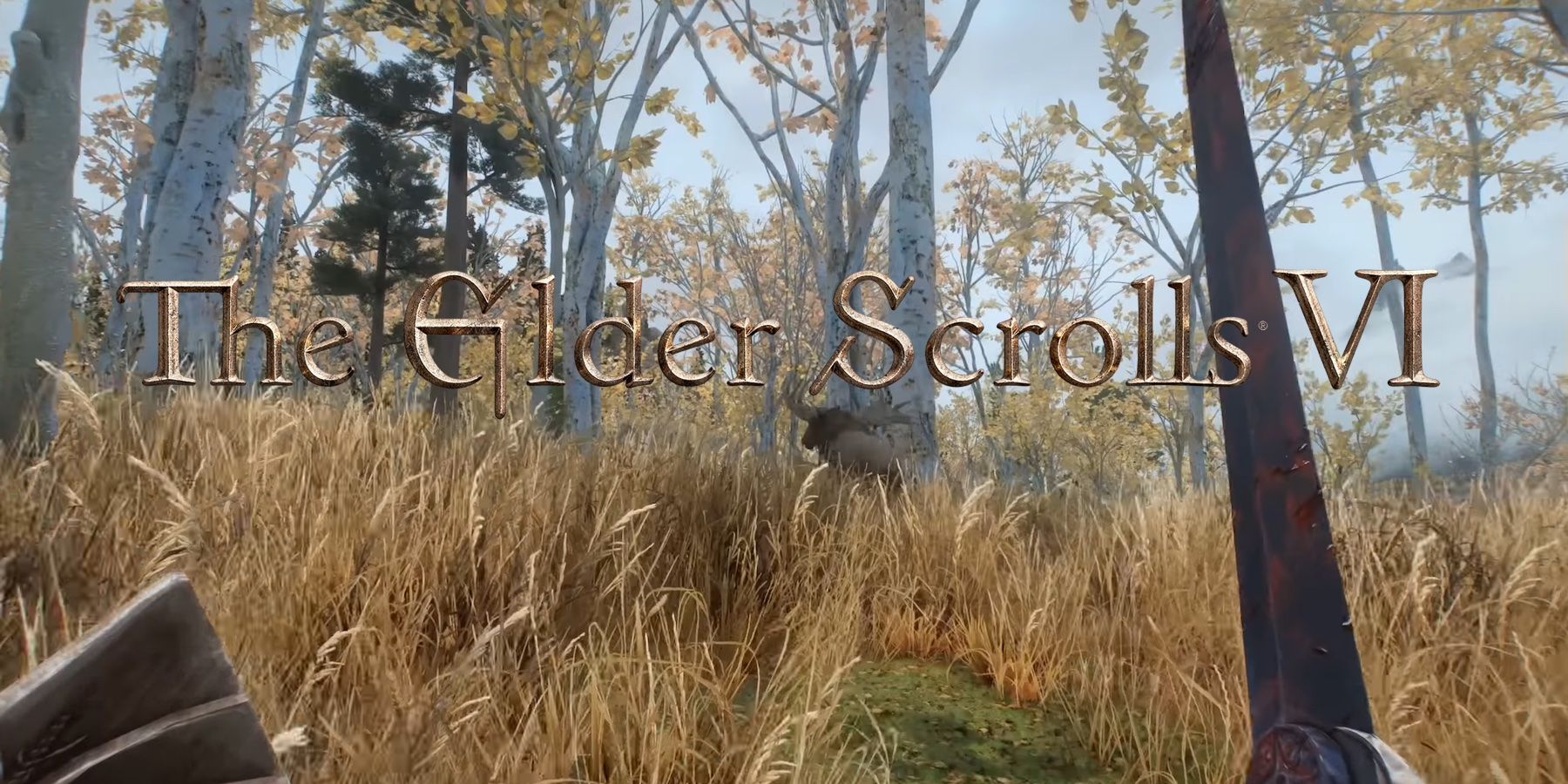 elder scrolls first person gameplay