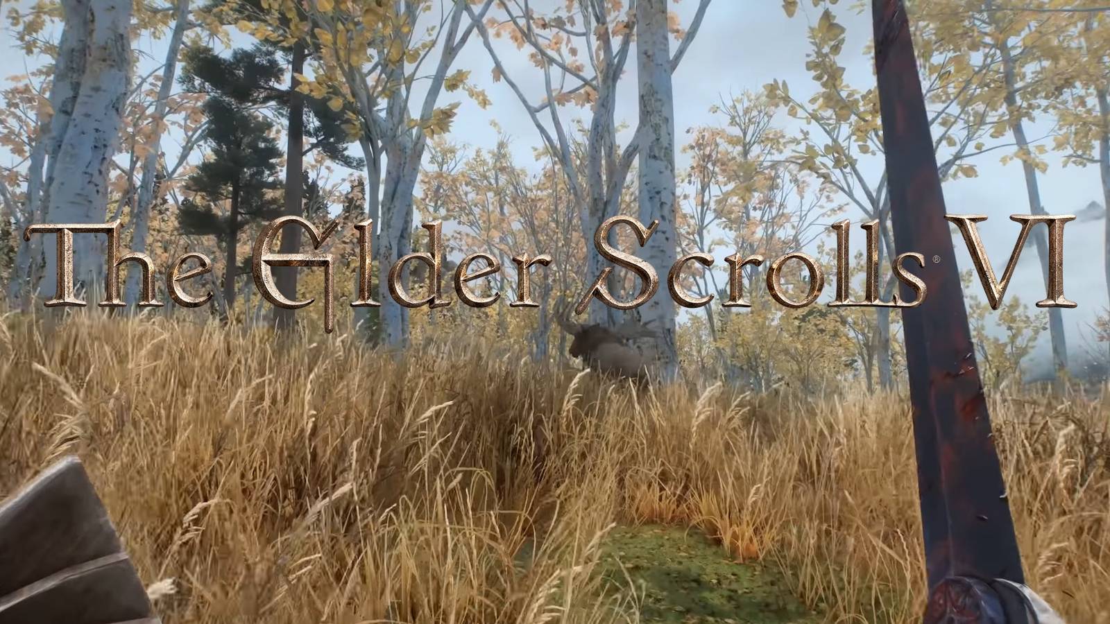 elder scrolls first person gameplay