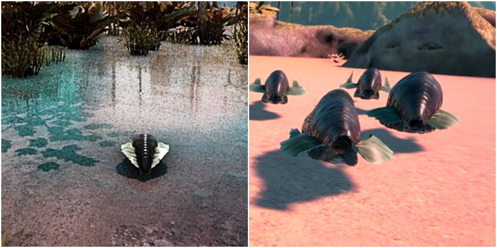 featured image ark survival evolved how to get leeches off guide