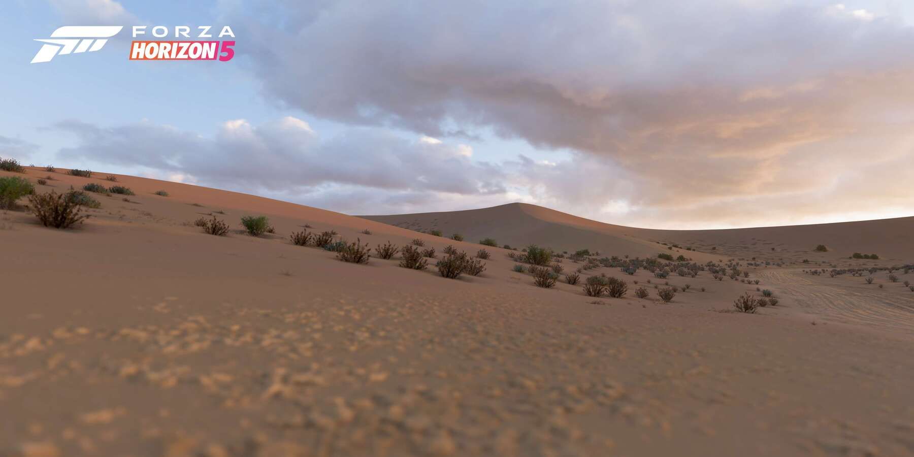 Sand Desert biome