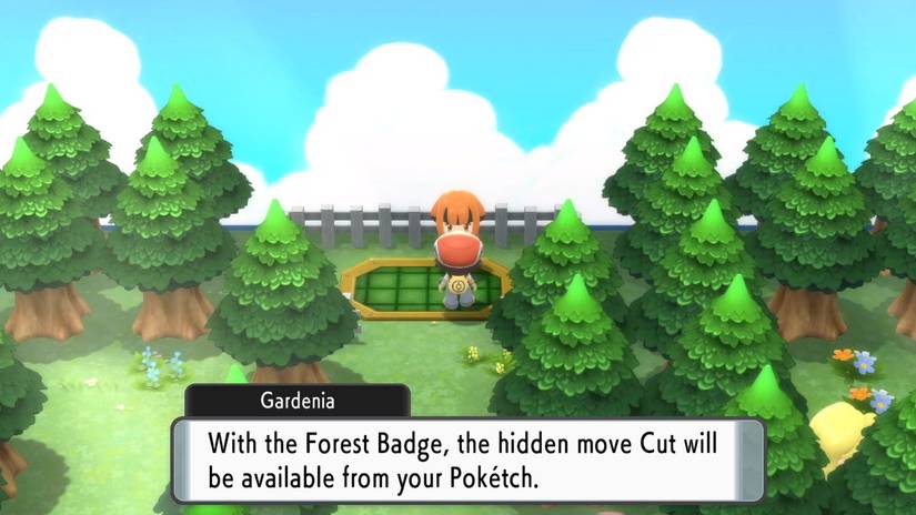 gardenia pokemon gym brilliant diamon shining pearl