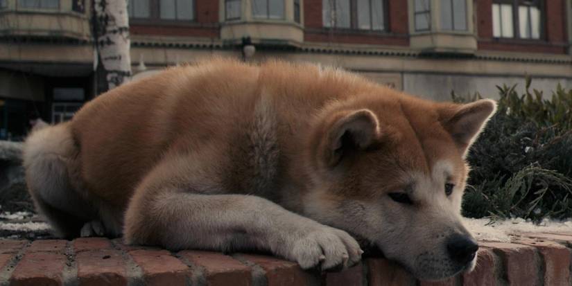 hachi sad dog movie
