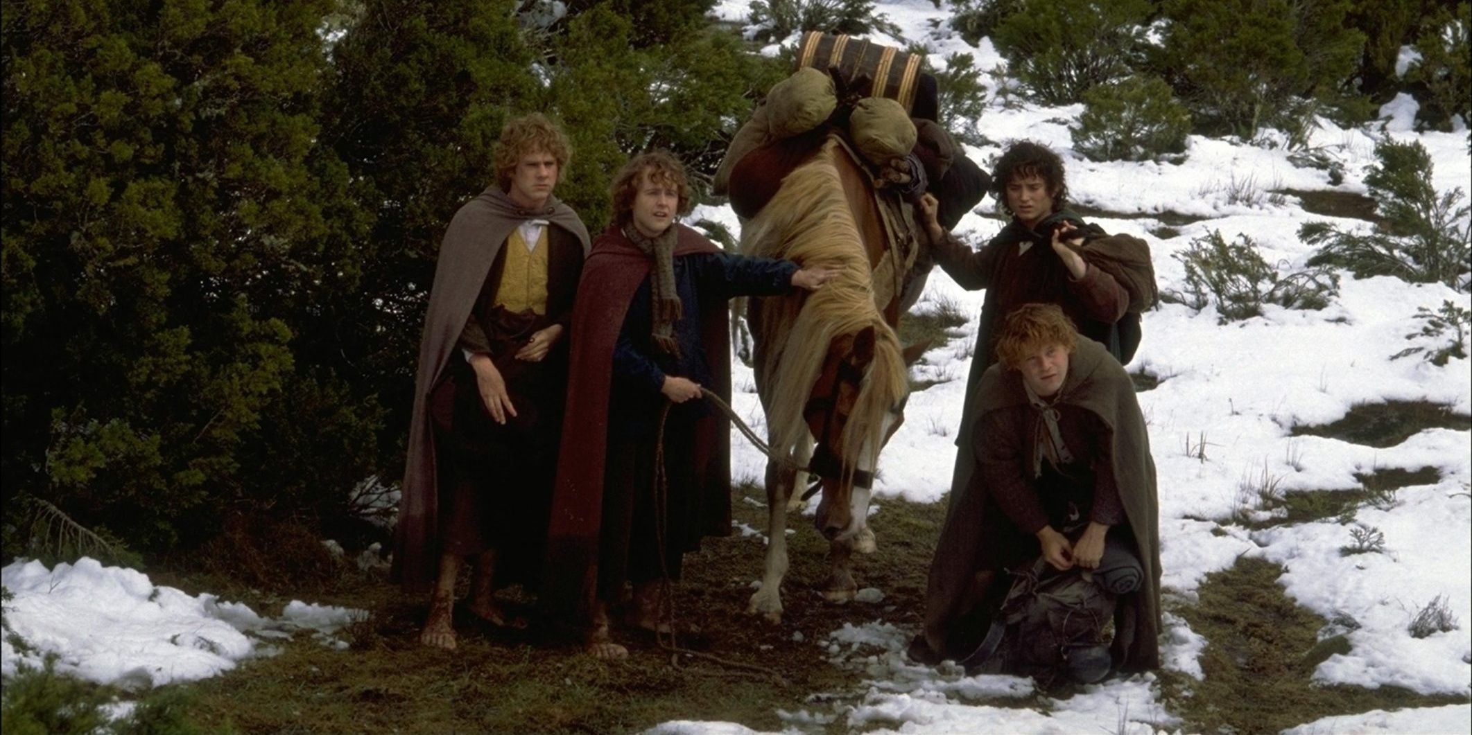LOTR: Who Is Bill The Pony And What Happens To Him After The Mines Of Moria?