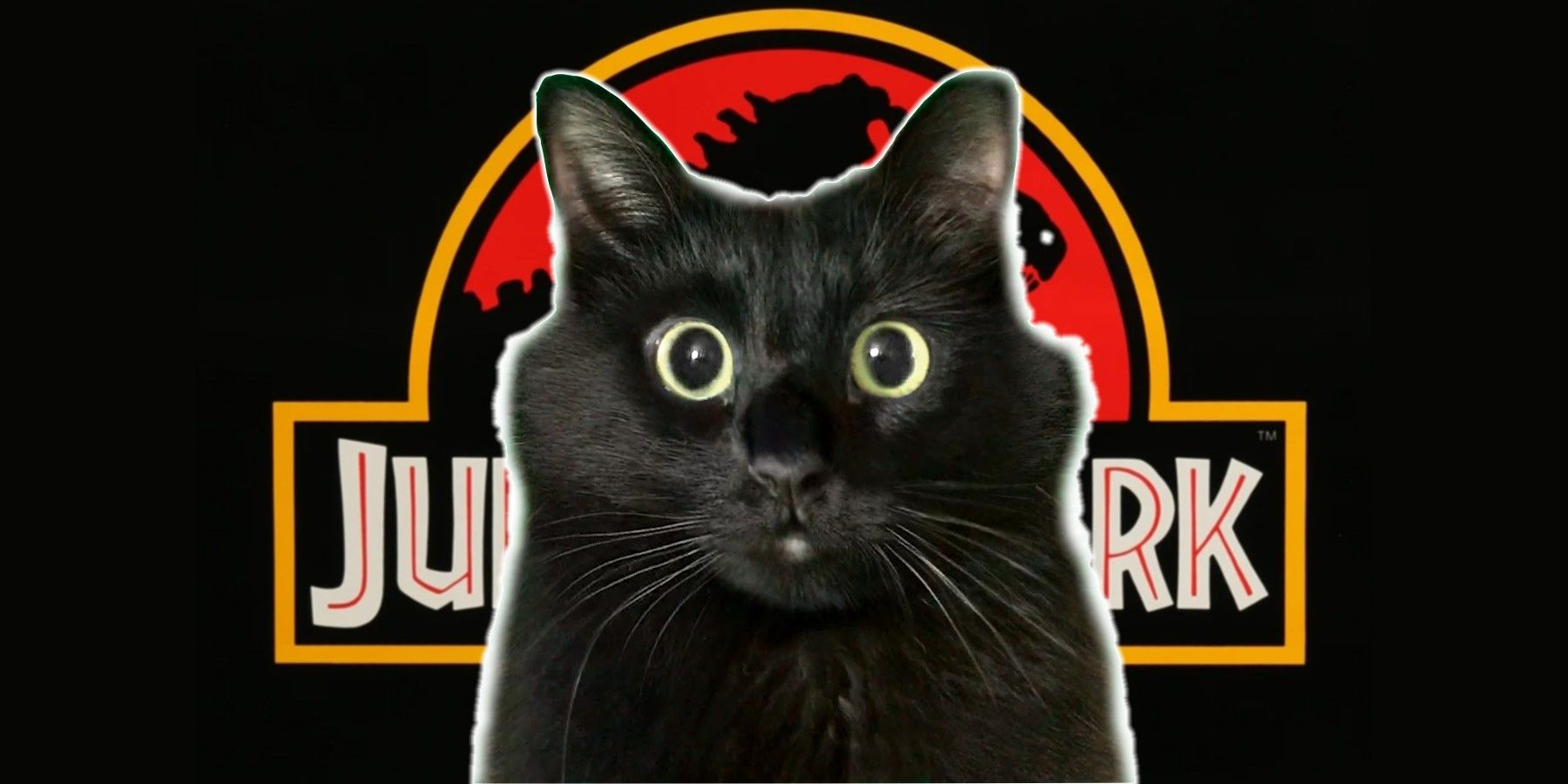 Jurassic Park cat OwlKitty