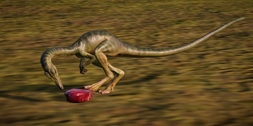 jwe2 ensure the allosaurus is safely enclosed