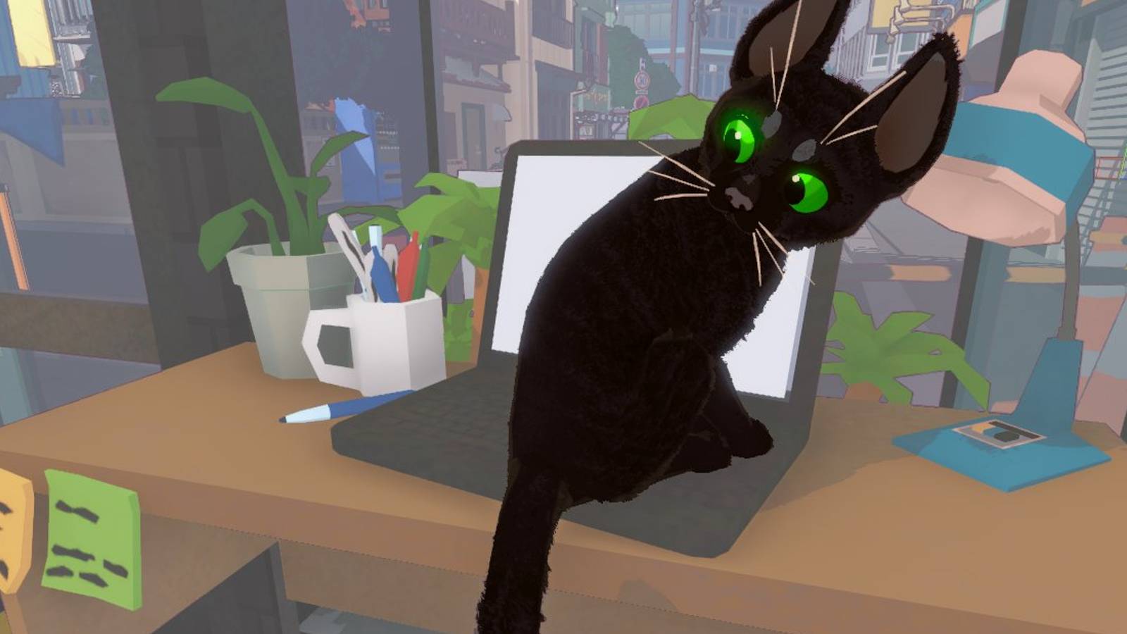 little kitty big city