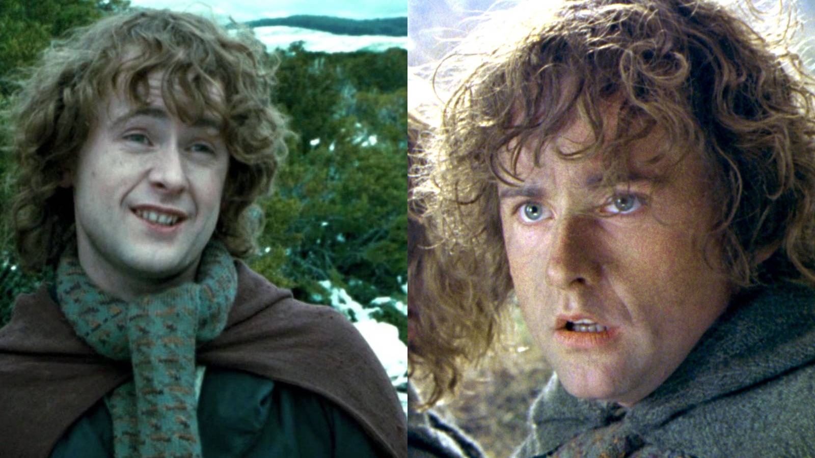LOTR: Essential Facts About Pippin