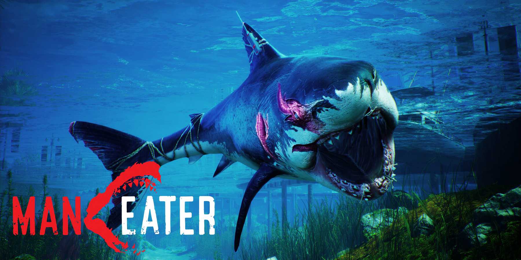 Mainator A ManEater Sequel Wouldn't Have to be a Retread of the First Game