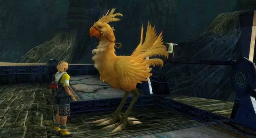 Tidus with chocobo. 