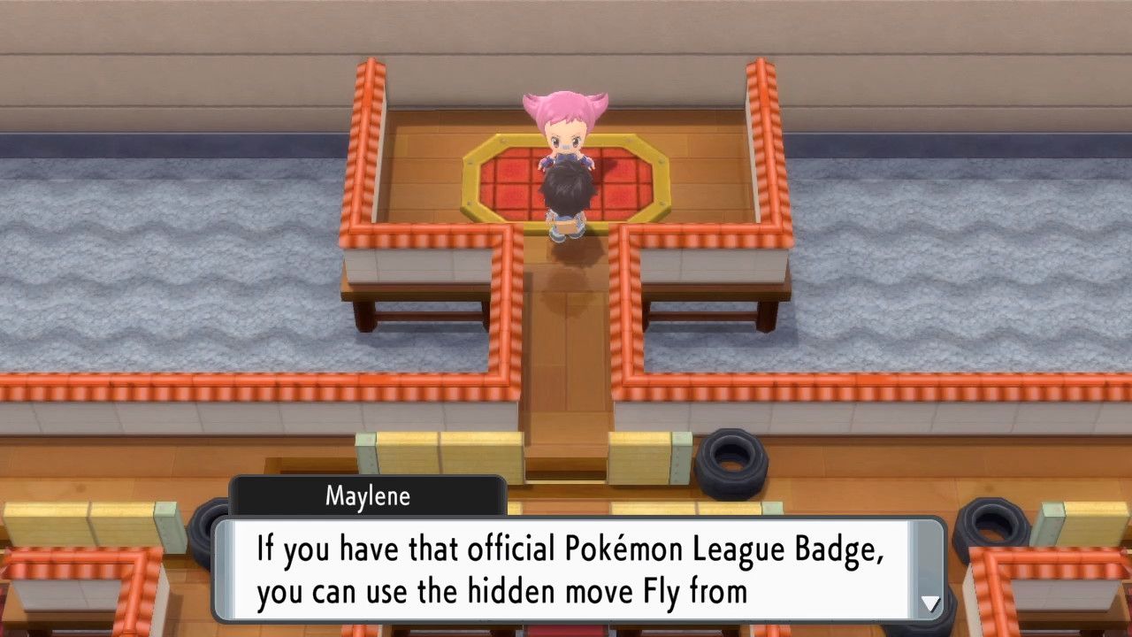 maylene fly poketch pokemon