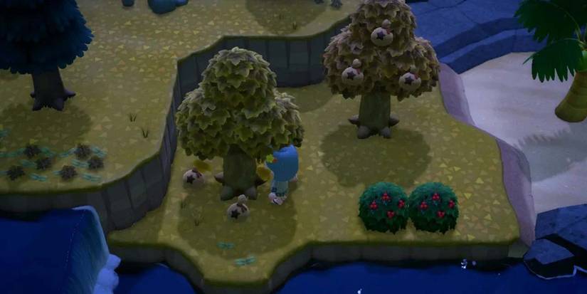 money island animal crossing new horizons